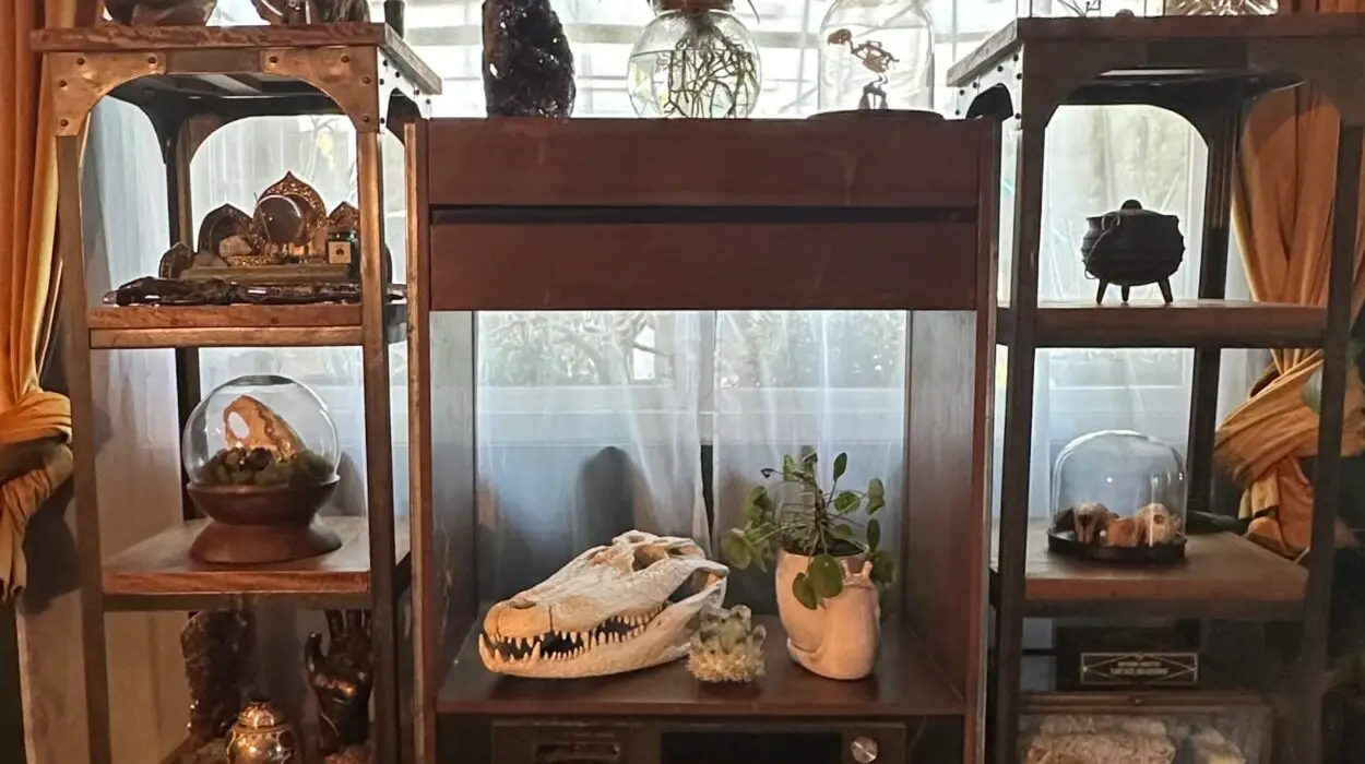 Marybelle? The Lake Martinez Widow