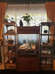 Marybelle? The Lake Martinez Widow